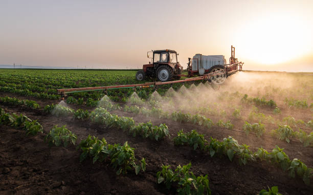 Best Pest Inspection Near Me  in Graton, CA