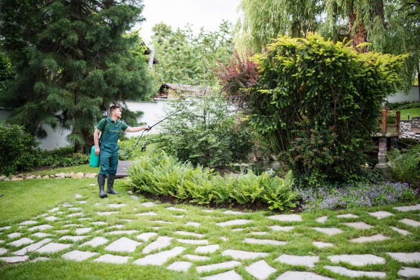 Pest Prevention Services in Graton, CA
