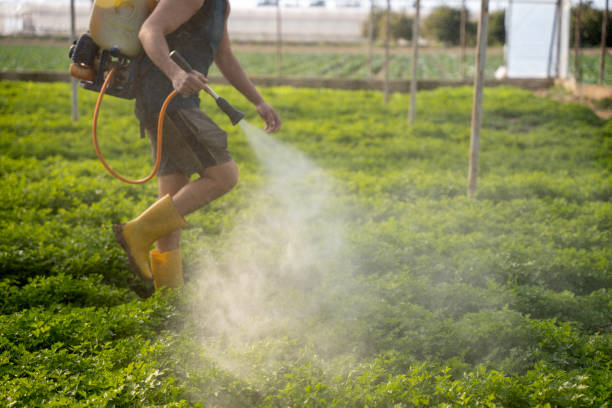 Best Pest Control Near Me in Graton, CA