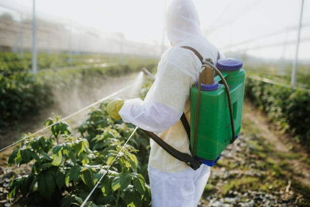 Reliable Graton, CA Pest Control Solutions